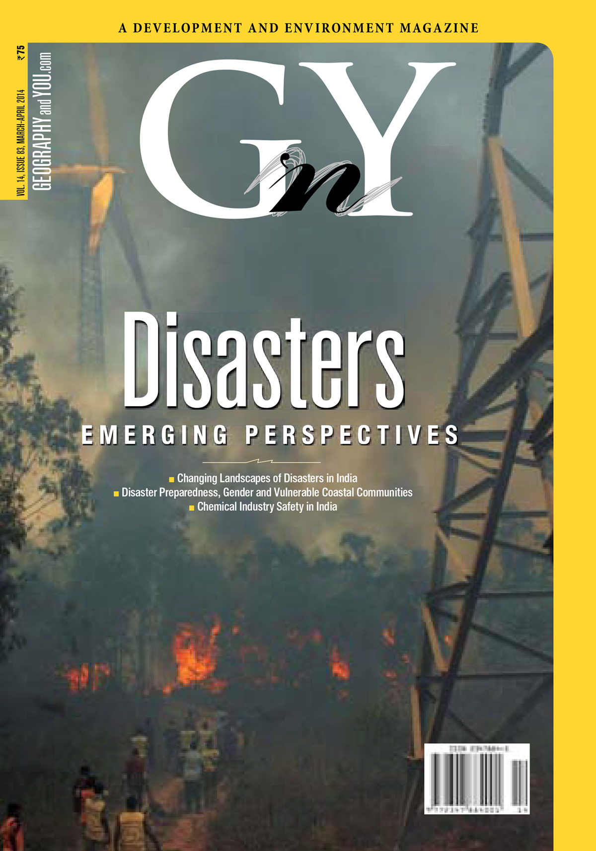 Disasters Emerging Perspectives cover